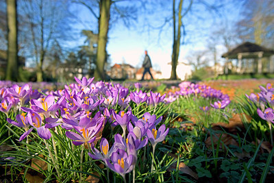 BUITEN BEELD Foto: 99504