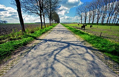 BUITEN BEELD Foto: 99517