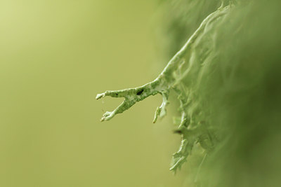 BUITEN BEELD Foto: 99528