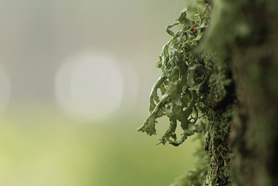 BUITEN BEELD Foto: 99529