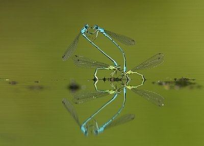 BUITEN BEELD Foto: 99544