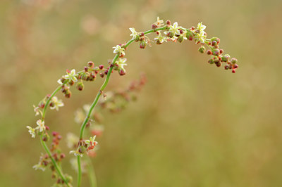 BUITEN BEELD Foto: 99589