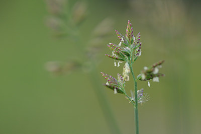 BUITEN BEELD Foto: 99599