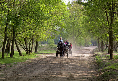 BUITEN BEELD Foto: 99603