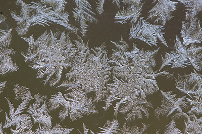BUITEN BEELD Foto: 99606