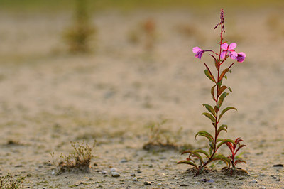 BUITEN BEELD Foto: 99646