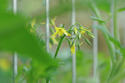 BUITEN BEELD Foto: 99681