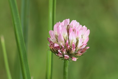 BUITEN BEELD Foto: 99698