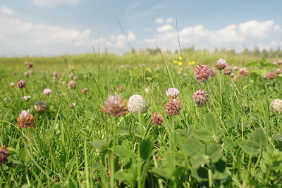 BUITEN BEELD Foto: 99702