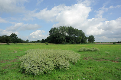BUITEN BEELD Foto: 99705