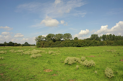 BUITEN BEELD Foto: 99706