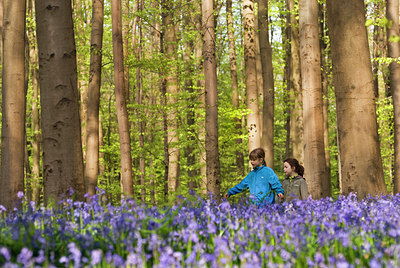 BUITEN BEELD Foto: 99738