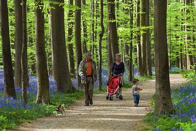 BUITEN BEELD Foto: 99740