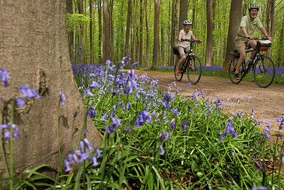 BUITEN BEELD Foto: 99744