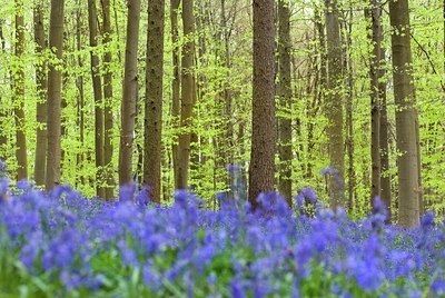 BUITEN BEELD Foto: 99760