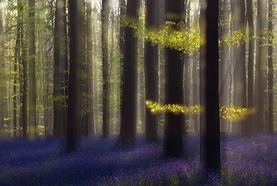 BUITEN BEELD Foto: 99762