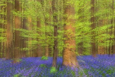 BUITEN BEELD Foto: 99765