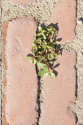BUITEN BEELD Foto: 99785