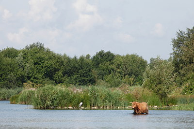 BUITEN BEELD Foto: 99793