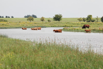 BUITEN BEELD Foto: 99798
