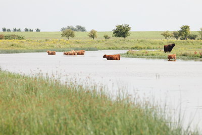 BUITEN BEELD Foto: 99799