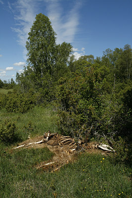 BUITEN BEELD Foto: 99809