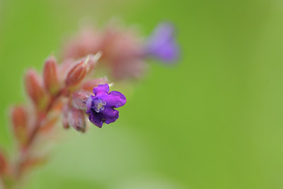 BUITEN BEELD Foto: 99833
