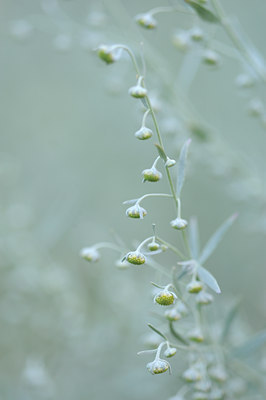 BUITEN BEELD Foto: 99840