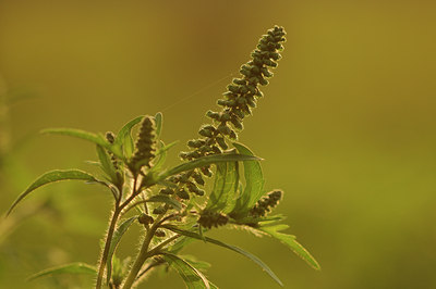 BUITEN BEELD Foto: 99906