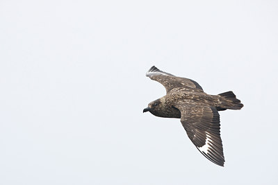 BUITEN BEELD Foto: 99965