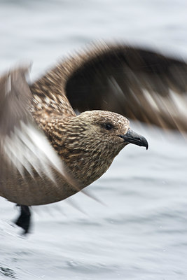 BUITEN BEELD Foto: 99969