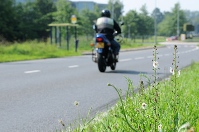 BUITEN BEELD Foto: 100001