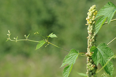 BUITEN BEELD Foto: 100009