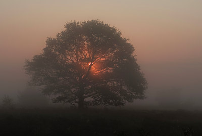 BUITEN BEELD Foto: 100031