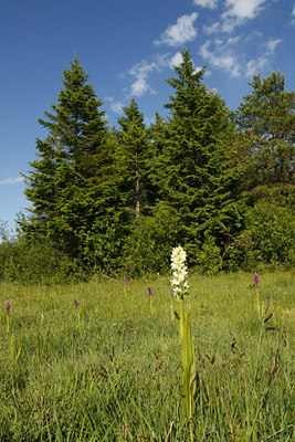 BUITEN BEELD Foto: 100080