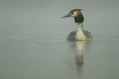 BUITEN BEELD Foto: 100097