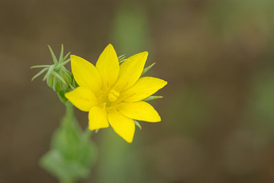 BUITEN BEELD Foto: 100186
