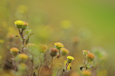 BUITEN BEELD Foto: 100193