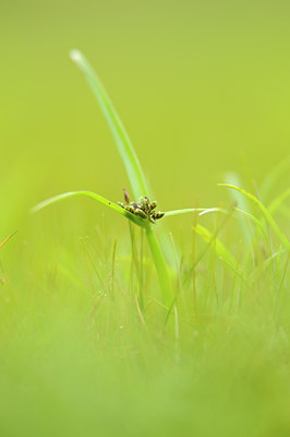 BUITEN BEELD Foto: 100195