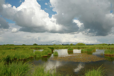 BUITEN BEELD Foto: 100229