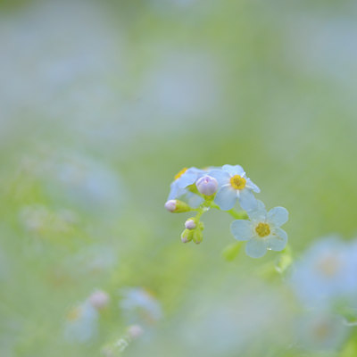 BUITEN BEELD Foto: 100233