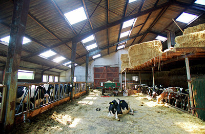 BUITEN BEELD Foto: 100243