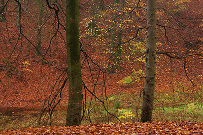 BUITEN BEELD Foto: 100282