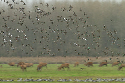 BUITEN BEELD Foto: 100337
