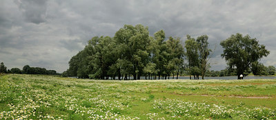 BUITEN BEELD Foto: 100443