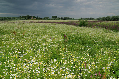 BUITEN BEELD Foto: 100445