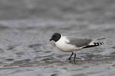 BUITEN BEELD Foto: 100467