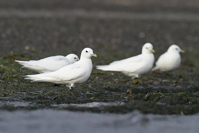 BUITEN BEELD Foto: 100469