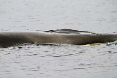 BUITEN BEELD Foto: 100507