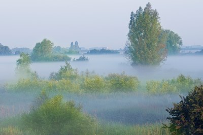 BUITEN BEELD Foto: 100540